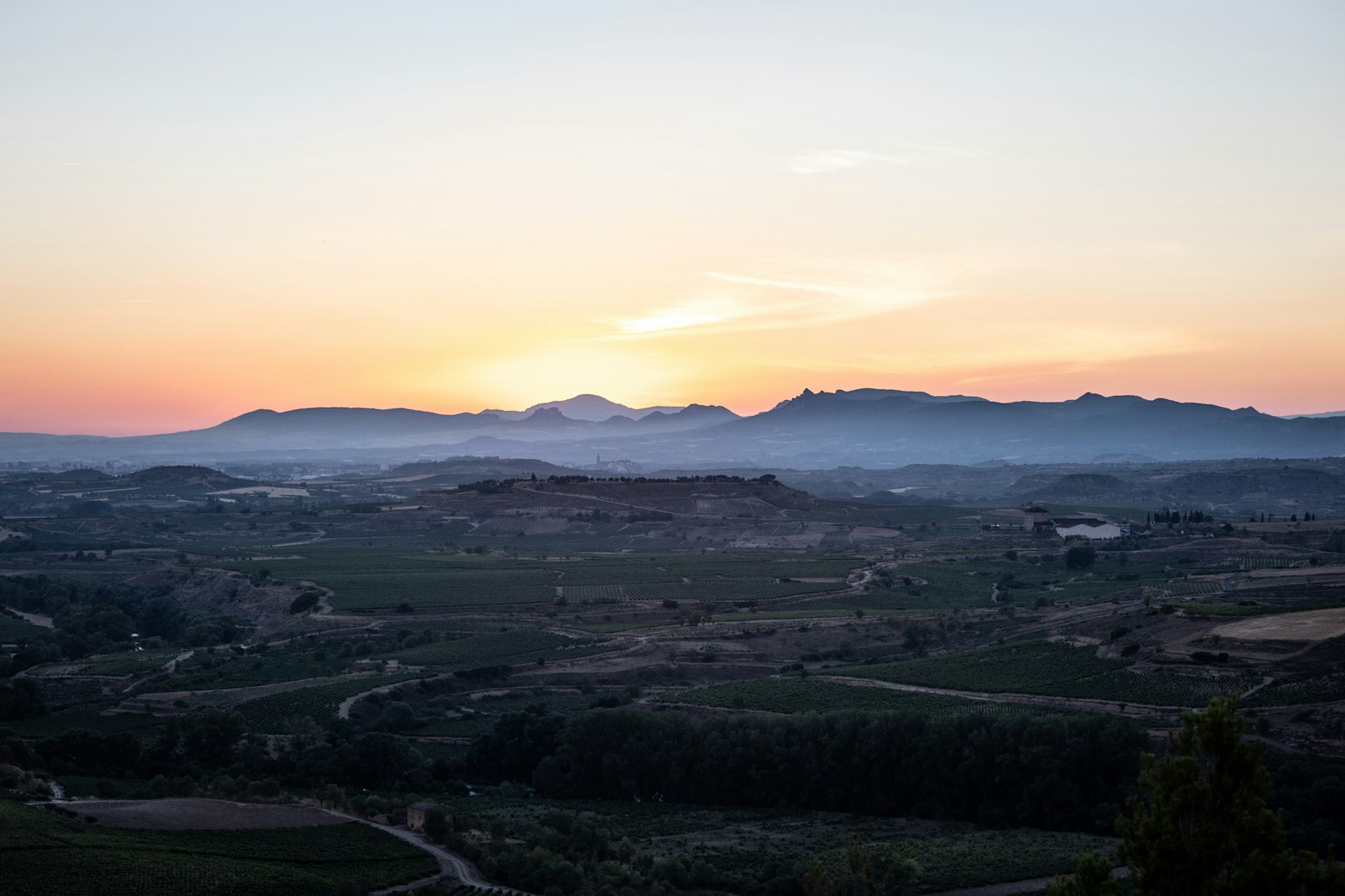 Rioja wine country vineyards and rolling hills bathed in warm golden sunset light
